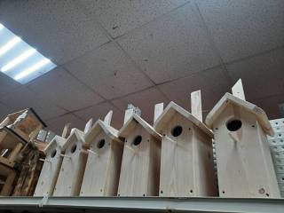 ����������� ��� ���� �����