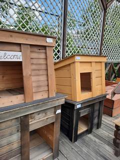 ���������� ����� ��� ����� �����